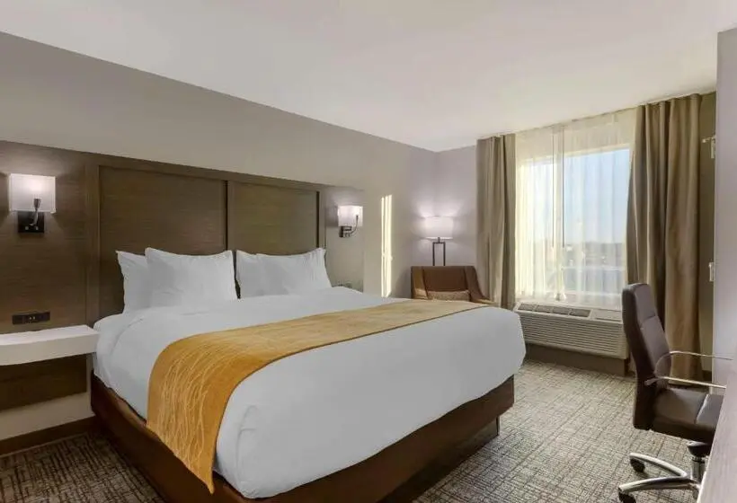 身障者適用キングサイズベッドルーム, Comfort Inn Jonesboro Central