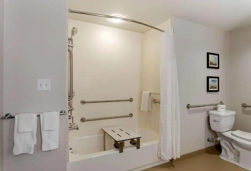 身障者適用スタンダードルーム, Comfort Inn Jonesboro Central