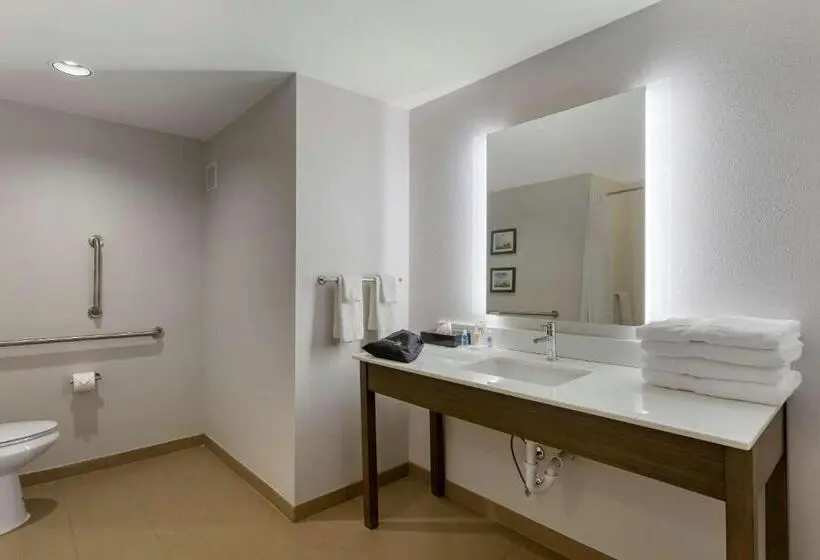 身障者適用スタンダードルーム, Comfort Inn Jonesboro Central