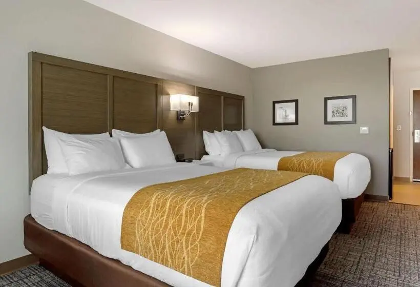身障者適用スタンダードルーム, Comfort Inn Jonesboro Central