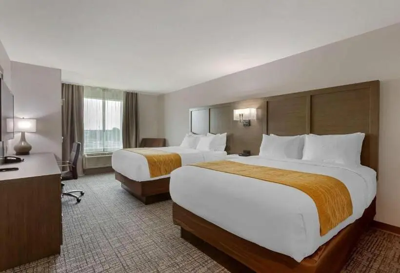 身障者適用スタンダードルーム, Comfort Inn Jonesboro Central
