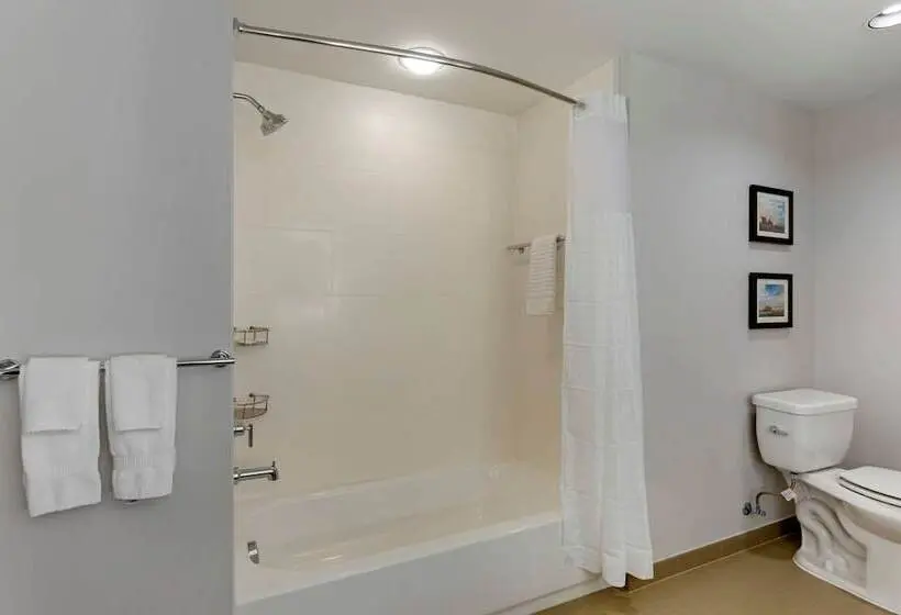 身障者適用スイートルーム, Comfort Inn Jonesboro Central
