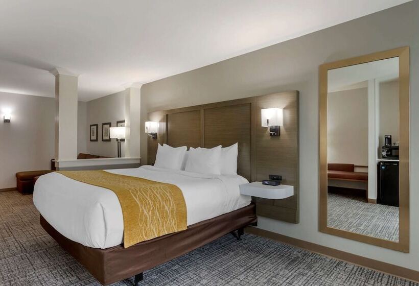 Люкс Адаптированный для Инвалидов, Comfort Inn