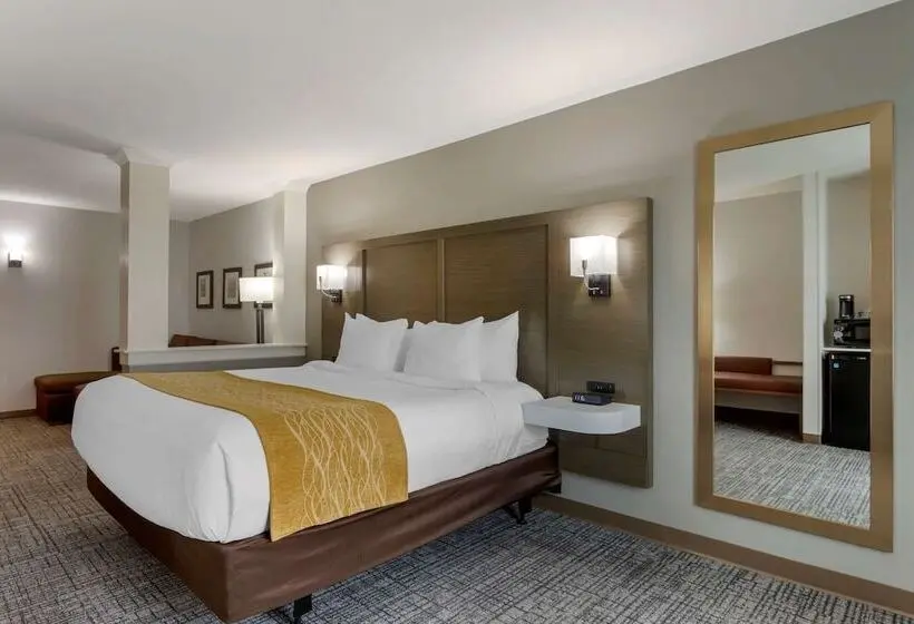 身障者適用スイートルーム, Comfort Inn Jonesboro Central