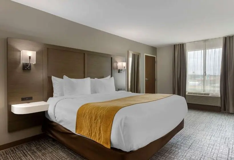 身障者適用スイートルーム, Comfort Inn Jonesboro Central