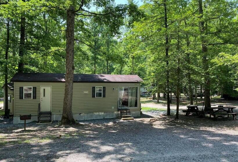 Дом 1 Спальня, Wilderness Presidential By Tripforth