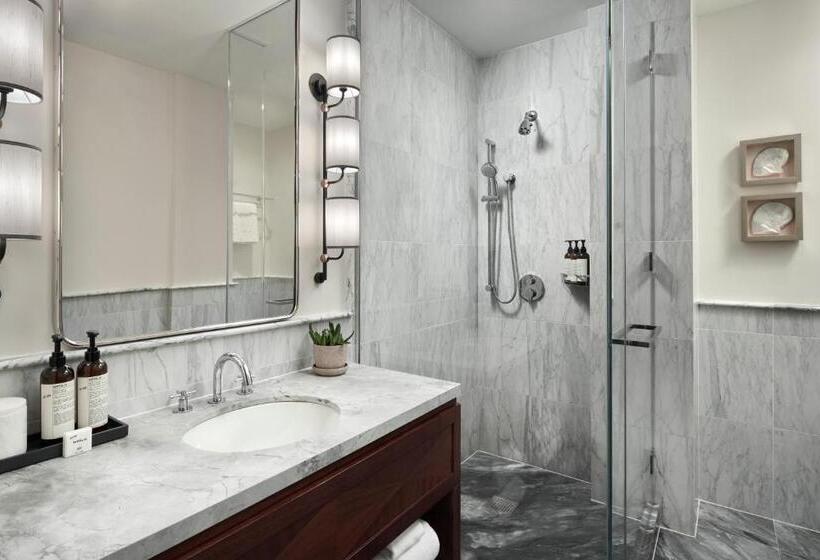 带大床的豪华间, The Wall Street Hotel New York City