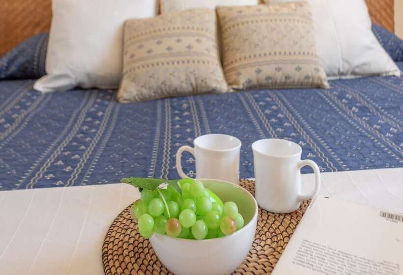 آپارتمان 1 خوابه, Bt Vent De Garbi