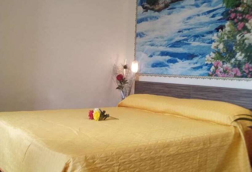 اتاق استاندارد, Adler