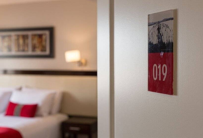 Номер Стандарт, Alto Andino