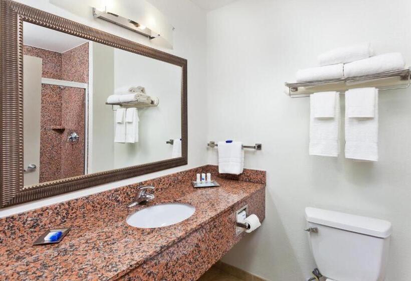 חדר סטנדרט עם מיטת קינג, Sonesta Essential Columbus