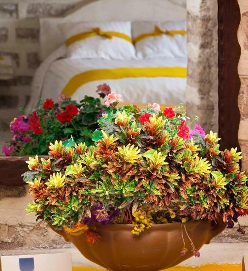 اتاق خانوادگی, De Sal Luna Salada