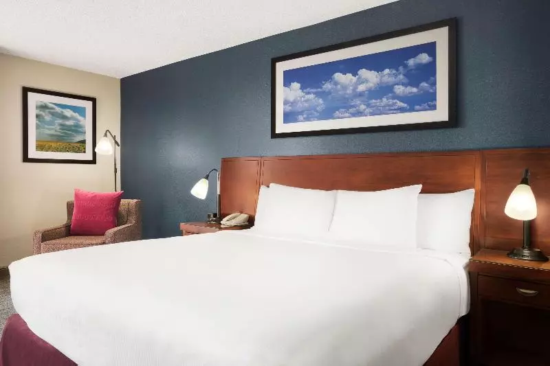 キングサイズベッドのスタンダードルーム, Doubletree By Hilton  Dallas  Dfw Airport North