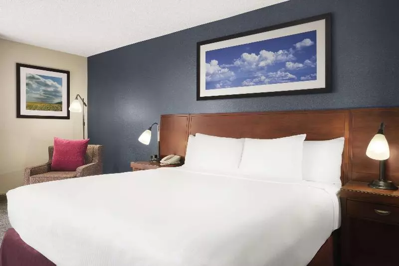 キングサイズベッドのエクゼクティブルーム, Doubletree By Hilton  Dallas  Dfw Airport North