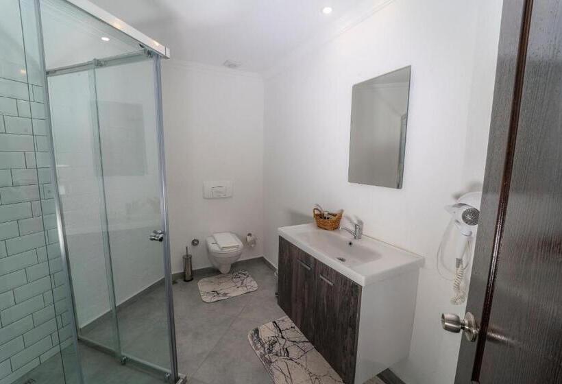 غرفة قياسية, Flora