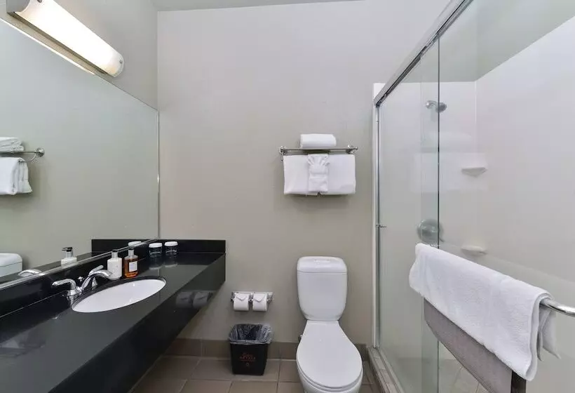 اتاق استاندارد با تخت دوبل, Gaia Hotel & Spa, Ascend Hotel Collection