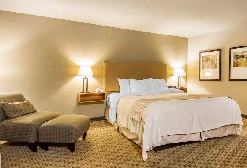 اتاق استاندارد با تخت دوبل, Gaia Hotel & Spa, Ascend Hotel Collection