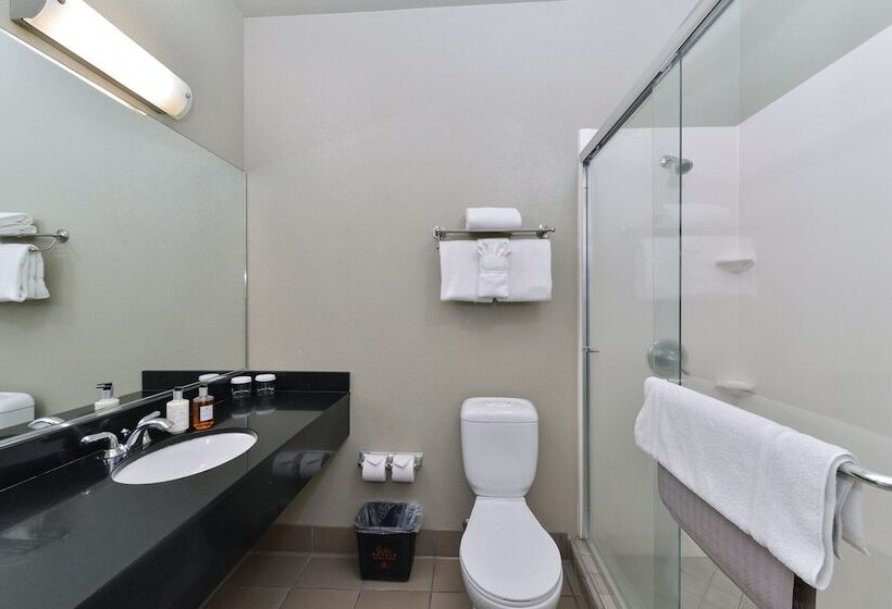 غرفه قياسيه سريرين مزدوجين, Gaia Hotel & Spa, Ascend Hotel Collection