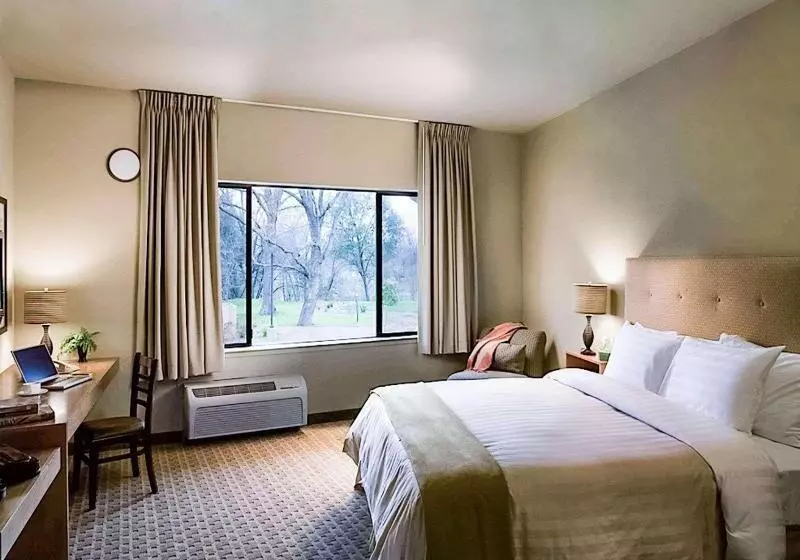 اتاق استاندارد با تخت بزرگ, Gaia Hotel & Spa, Ascend Hotel Collection