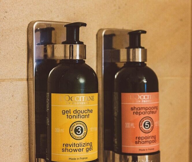 스탠다드 룸, Heritage Hotel Hallstatt