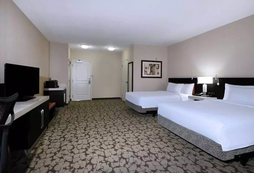 اتاق استاندارد برای معلولان, Hilton Garden Inn Las Vegas Strip South