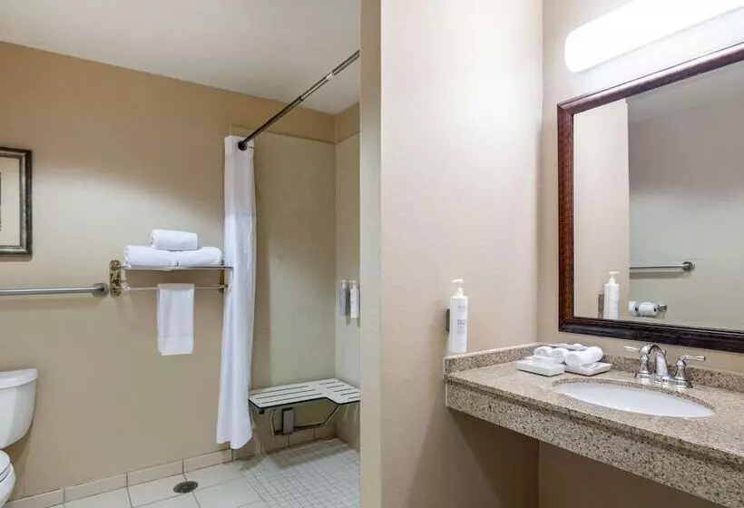 اتاق استاندارد برای معلولان, Hilton Garden Inn Las Vegas Strip South