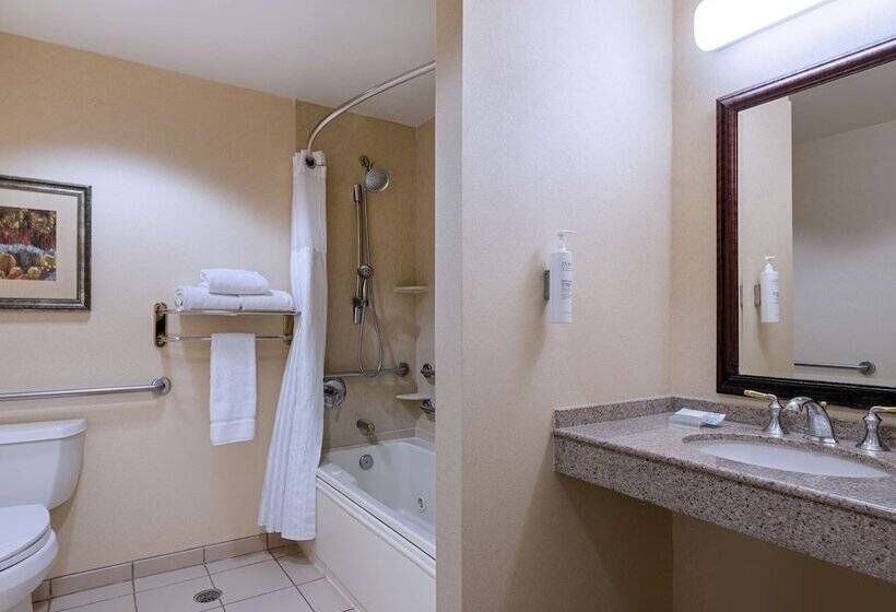 חדר סטנדרט מותאם לאדם עם מוגבלויות, Hilton Garden Inn Las Vegas Strip South