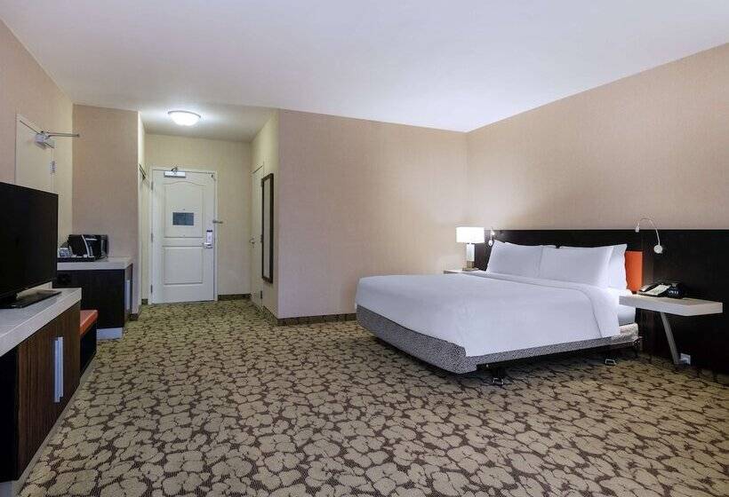适合残疾人使用的标准间, Hilton Garden Inn Las Vegas Strip South
