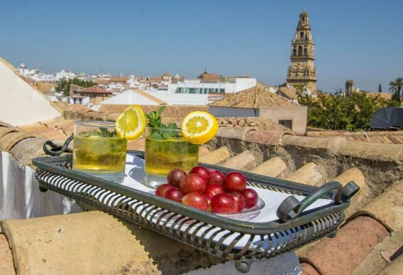 اتاق پنت هاوس, Las Casas De La Judería De Córdoba