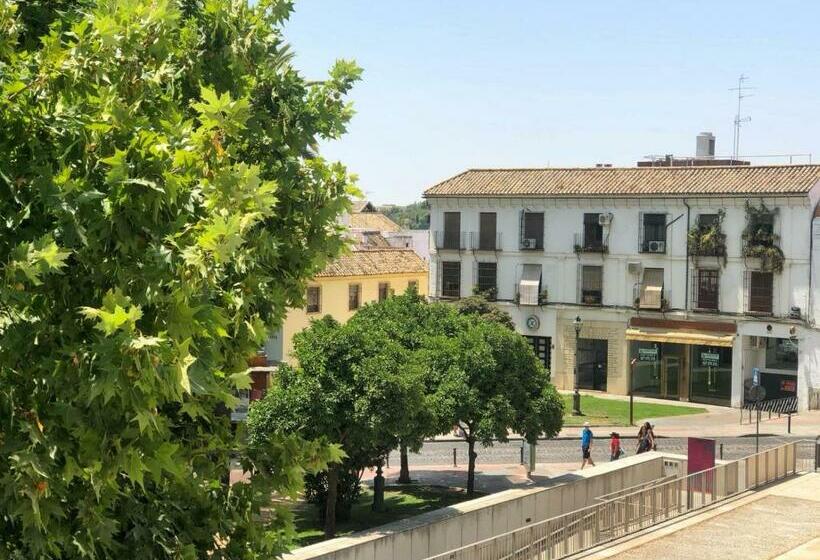 سوئیت جونیور با چشمانداز, Las Casas De La Judería De Córdoba