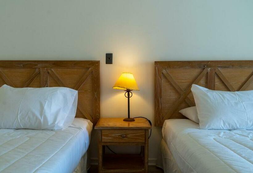 غرفة قياسية, Palmas De La Serena