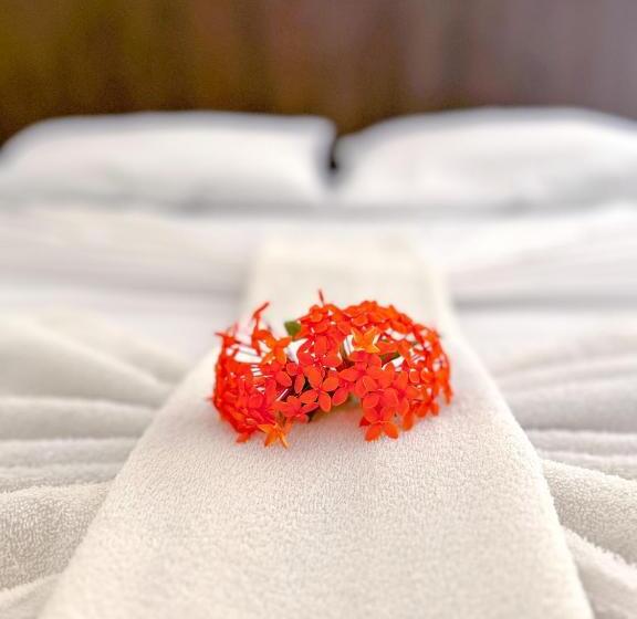 חדר סטנדרט, Pousada Recanto Porto De Galinhas