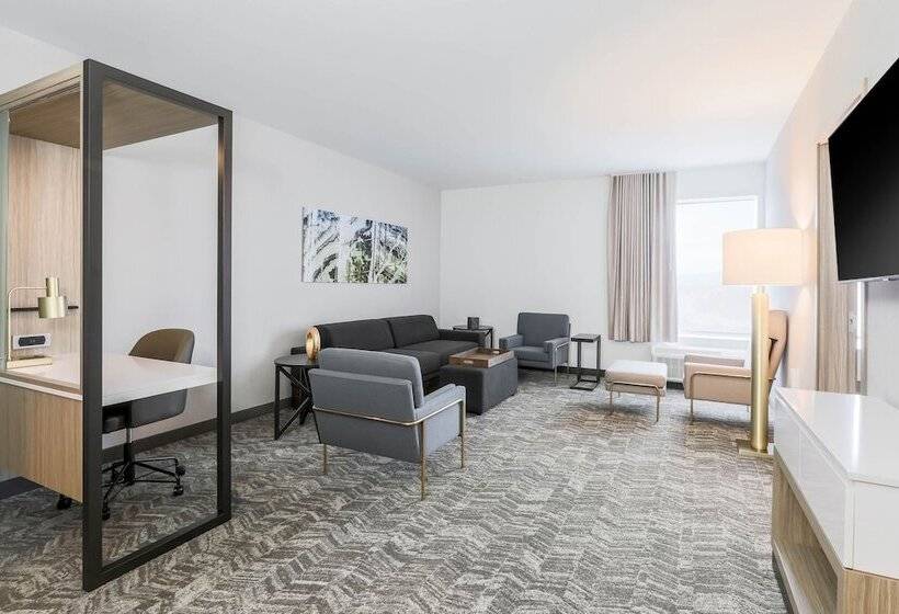 スイート, Springhill Suites By Marriott San Jose Fremont