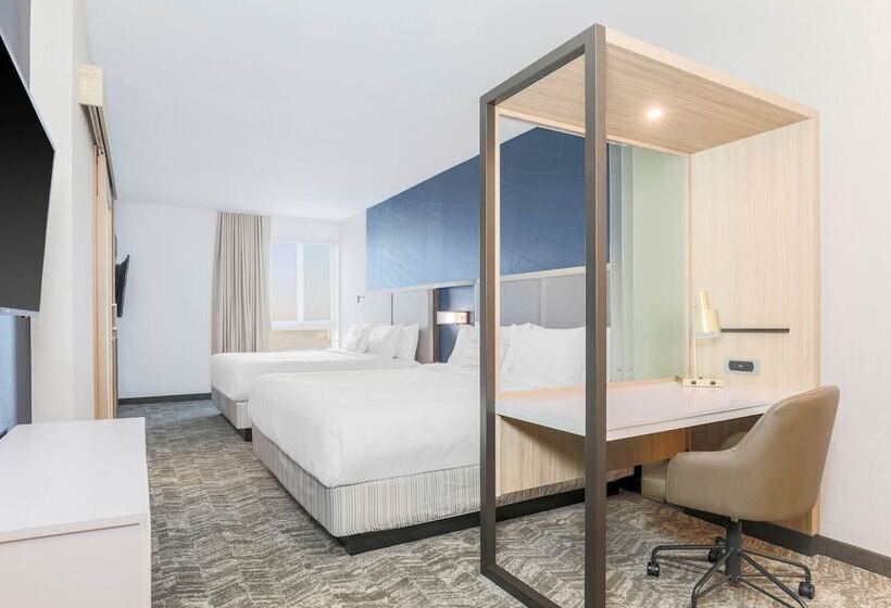 장애인을 위한 스위트, Springhill Suites By Marriott San Jose Fremont