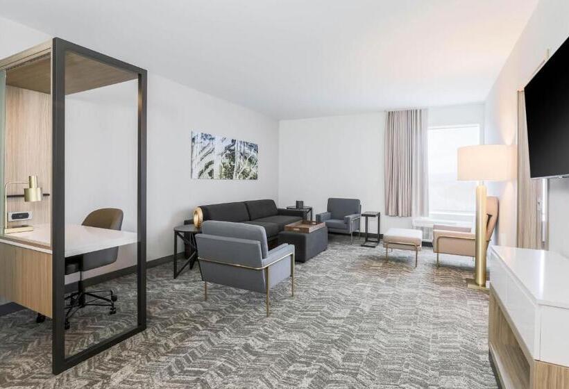 スイート, Springhill Suites By Marriott San Jose Fremont