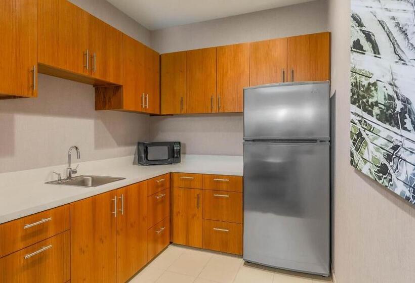 스위트, Springhill Suites By Marriott San Jose Fremont