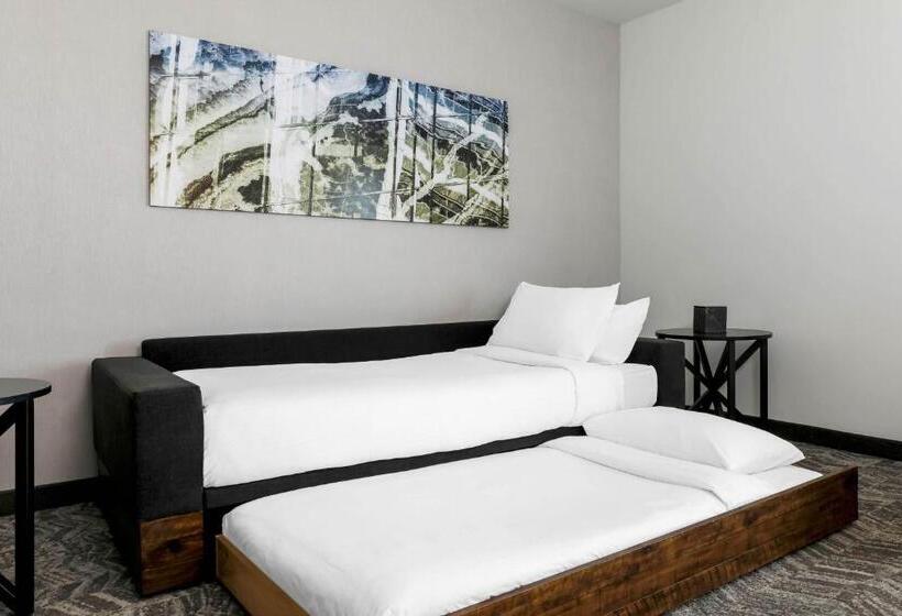 身障者適用スイートルーム, Springhill Suites By Marriott San Jose Fremont