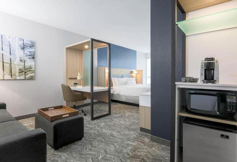 장애인을 위한 스위트, Springhill Suites By Marriott San Jose Fremont