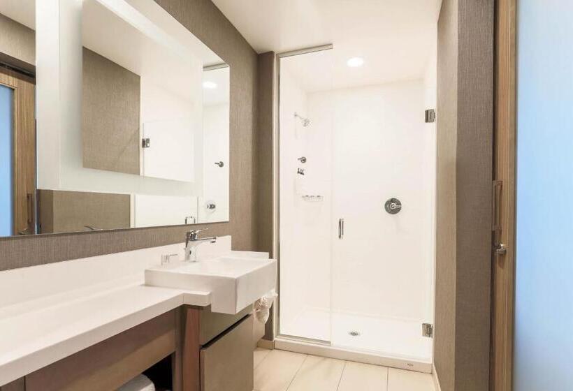 장애인을 위한 스위트, Springhill Suites By Marriott San Jose Fremont