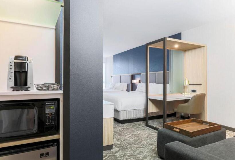 장애인을 위한 스위트, Springhill Suites By Marriott San Jose Fremont