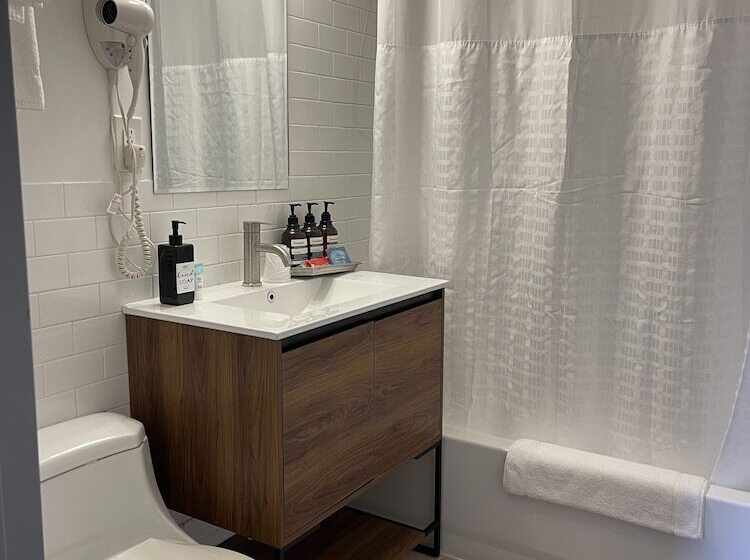 수피리어 룸, Mimosa