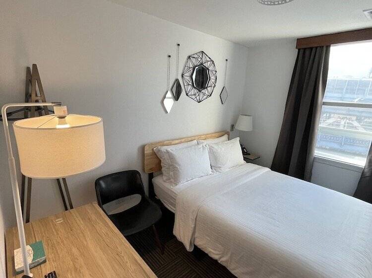 스탠다드 룸, Mimosa