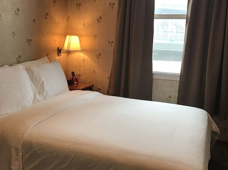 수피리어 룸, Mimosa