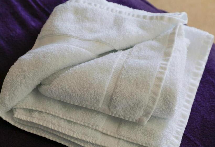 Pokój Standard, The Swan