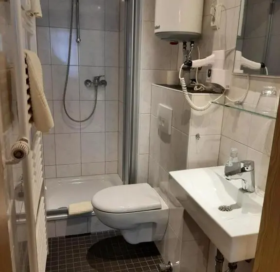 スタンダードシングルルーム, Altstadthotel Garni Frankfurter Hof