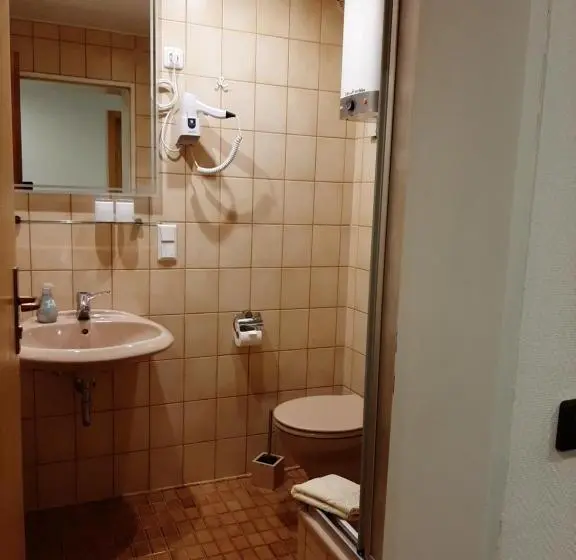 スタンダードルーム, Altstadthotel Garni Frankfurter Hof