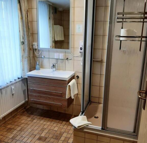 标准间, Altstadthotel Garni Frankfurter Hof