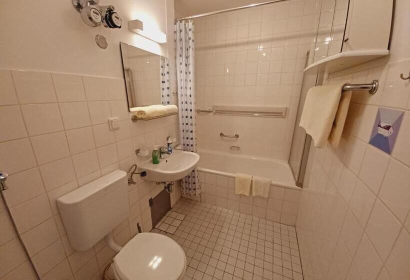 带1个卧室的公寓, Altstadthotel Garni Frankfurter Hof