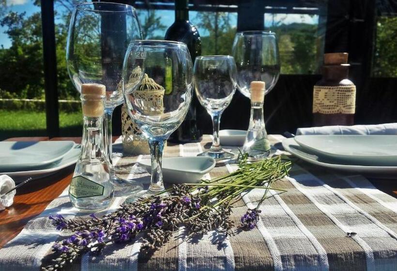 标准房带园景, Etno Garden Exclusive Rooms