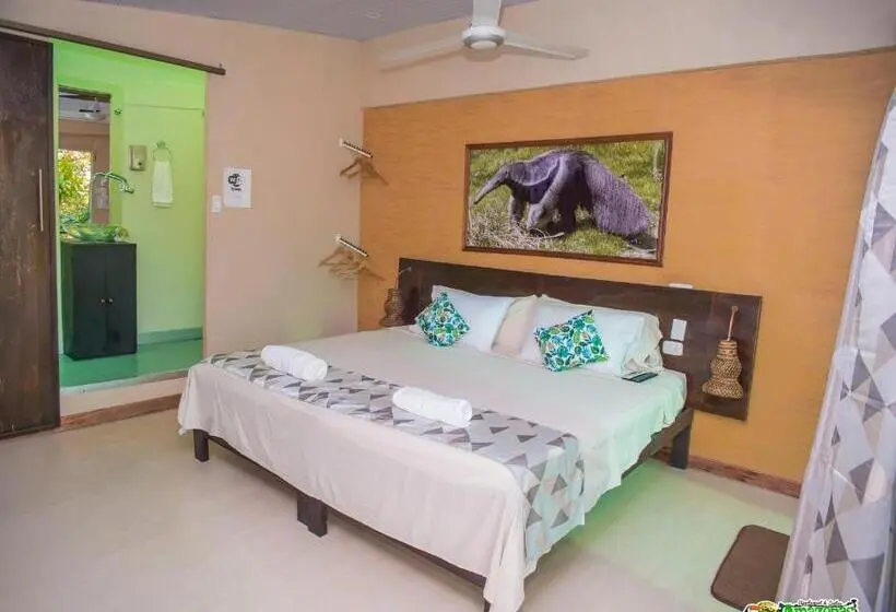 StandaardKamer, Amazonas Explorers Leticia